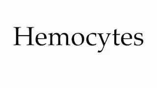 How to Pronounce Hemocytes