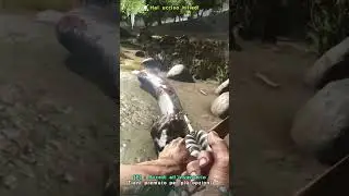 #shorts #807 #ark #arksurvivalevolved  #shortsclip #gameplayita #filfoxezorcraft #gaming