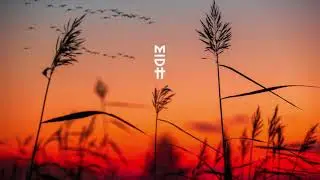 Pezzner - Saint Andre (Original Mix)