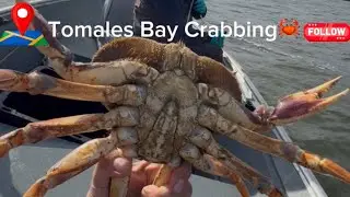 First YouTube ￼ video- crabbing ￼ tamales ￼ bay 🦀