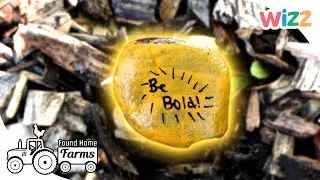 Found Home Farms | Painting Rocks | Short | Animal Documentaries for Kids | @Wizz