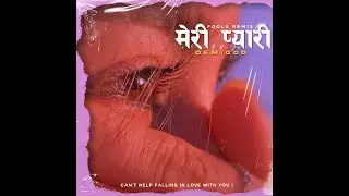 Demi God- Meri Pyaari | Fools Remix | (Official Lyrics Video)