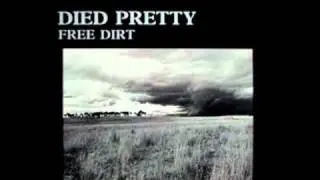 Died Pretty - Just skin