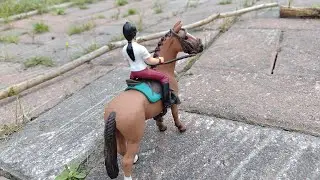 K&auml;rryl&auml;n tilsn este kilpailut feat tuleva schleishtalli Uljas🏇🏇🏇