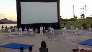 FHMA Demo Team