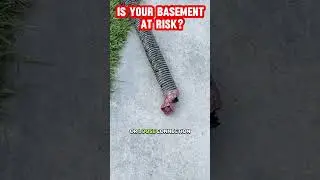 DIY French Drain Curtain Drain Done Right: Avoid Costly Mistakes!