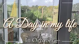 🍂A day in my life in October - 2024 vlog
