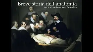 Breve storia dell'anatomia