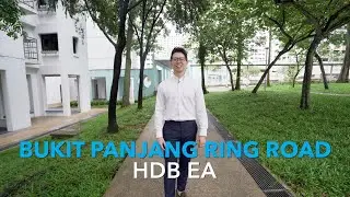 Singapore HDB Property Listing Video - Bukit Panjang Ring Road HDB EA For Sale