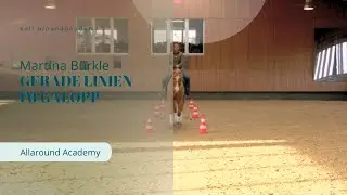 Gerade Linien im Galopp