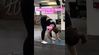 Forward Fold | Hamstring + Lower Back Release 🧘&zwj;♀️