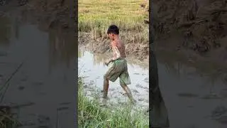 Village boy's secret fishing technique #Hidden #FarmingTricks