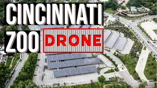 Get a bird's eye view of Cincinnati Zoo with this exclusive aerial drone footage