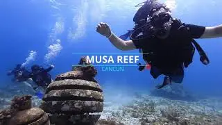 MUSA DIVING  UNDERWATER MUSEUM OF ART ISLA MUJERES.                  Deep Life Divers
