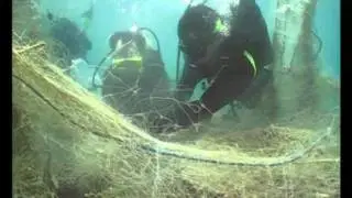 معاً لحماية الشعاب المرجانية - Protecting Coral Reefs Together