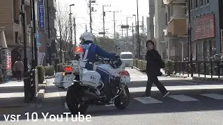 あと50cmで衝突！夫婦を蹴散らしぶっちぎり！•逃走不可能！白バイ怒りの猛追！•ごねるDQNアルファード！•おっさんが白バイと口論•女子大生をガン無視する軽！【2023視聴回数10〜6位ダイジェスト】