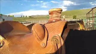Lena #59 Saddle Fit