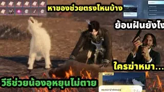 Sword of justice วีธีช่วยน้องหมาอุหยุนไม่ตาย ย้อนฝันตรงไหนหาของที่ไหน 