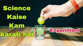 Density Kaise kam karati hai #explain #experiment  | नींबू पानी में तैरेगा या डूब जायेगा | #science 