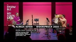 Alireza Seyedi &ndash; Widerspruch (2025)