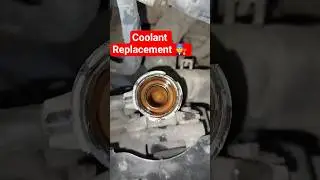 Coolant Replacement 👨&zwj;🔧 🚘#automobile #hyundaitechnical #youtubeshorts #shortvideo #shorts #carrepair