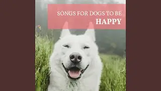 Pet Music World