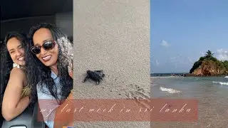 MY FINAL WEEK IN SRI LANKA | sri lanka vlog | emmy nicole