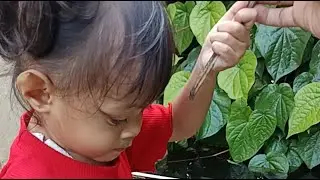 Di acak acak bocil