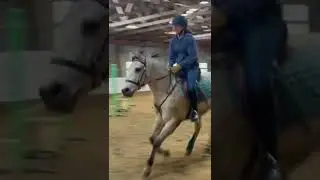 Amazing 4 year old jumps in a side pull bridal!