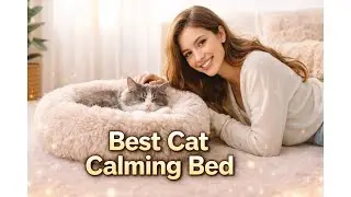 🐱 Отзыв о успокаивающих кошачьих лежанках Bedsure для домашних кошек &mdash; удивительные результаты! 🐱
