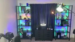 A brief overview of my office set up for Zahra