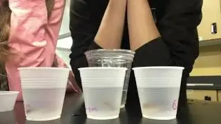 Bait lab