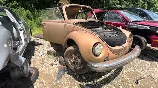 1974 Volkswagen Beetle in the Junkyard Parts Car