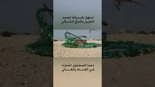 اسهل طريقة لصيد الطيور بالفخ
