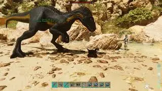 ARK: ASA Moro Raptor eats Shinehorn