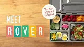 Meet the Rover Lunchbox