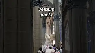 VERBUM PANIS #catolico #verbumpanis #iglesiacatolica