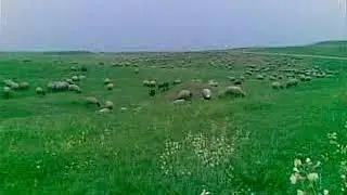 مطبك عبد الزيدان