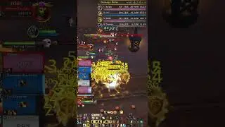 Ret Paladin doing 20 Million damage | #dalinar101 on #Twitch