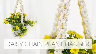 Macrame Plant Hanger | Daisy