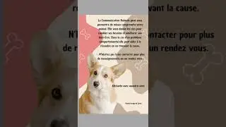 #communicationanimale #animauxdecompagnie #animauxdeferme