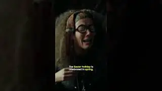 Did You Know About This Prediction By Professor Trelawney In HARRY POTTER&hellip;