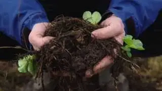 An introduction to Soil Security