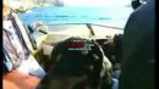 Poui le chien surfeur