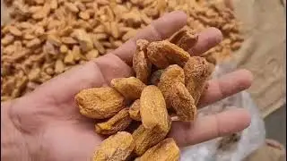 #drydates #khajoor #datesforhealth #dryfruits #dryfruit #drydates #food