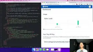 Setting up WYSIWYG workflow app editor | TinyMCE Workflow Starter Config