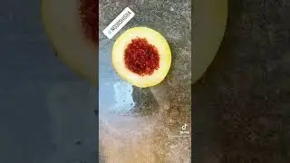Sweet melon shisha head