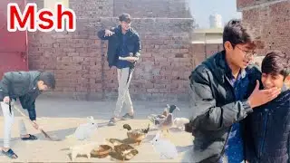 Carimal ne dhor lagva di 🐕😰/kabooter baby😄/(umair)#desi #cute #village #funny #pets #petlover #bird