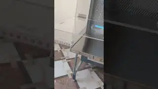 laminar air flow// microbiology