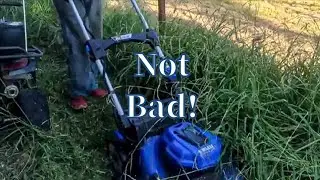 Mowing Jungle-Sized Grass with a 48V Kobalt Mower &ndash; For Free! Watch the Beast Tame the Wild!